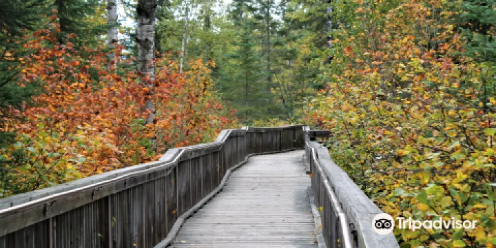 Ouimet Canyon Provincial Park