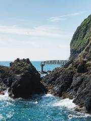 The Gobbins