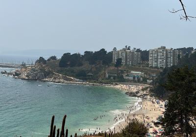 Playa Canelo