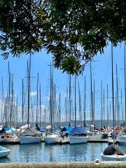 Rushcutters Bay Park