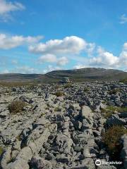 The Burren