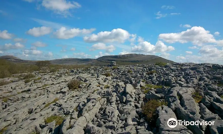 The Burren