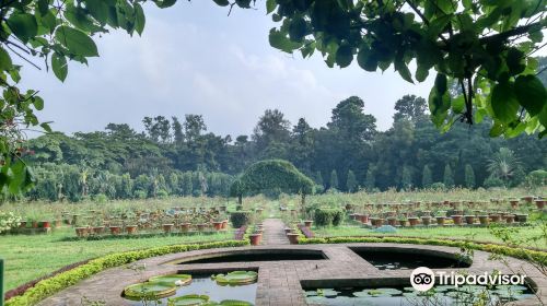 National Botanical Garden, Mirpur, Dhaka
