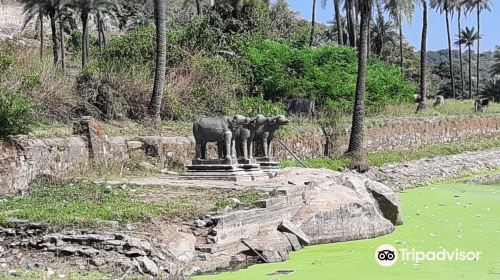 Achalgarh Fort