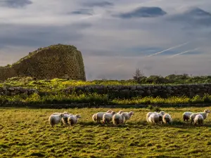 Nuraghe Losa