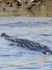 Wilmington Water Tours