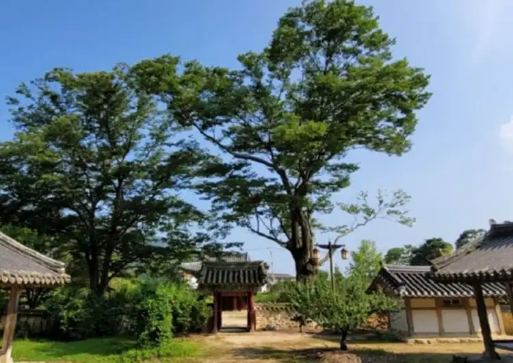 Seongju-gun