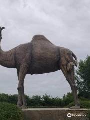 Sara the Camel