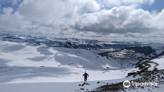 Borea Adventures, Main Office