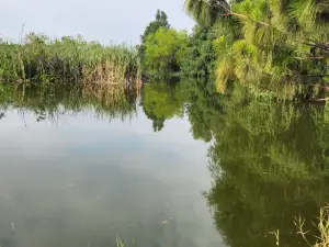 Metropolitano Tepic Park