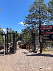 Colorado Wolf and Wildlife Center