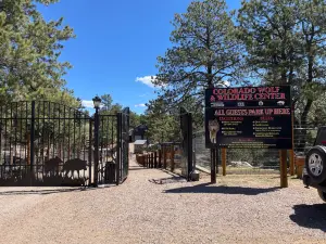 Colorado Wolf and Wildlife Center