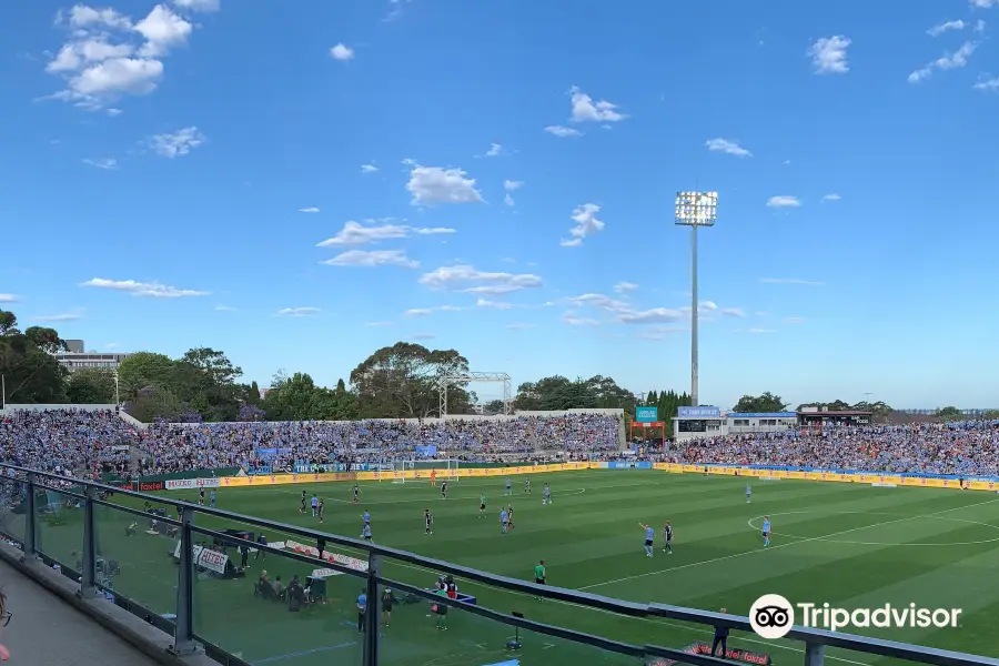 Netstrata Jubilee Stadium