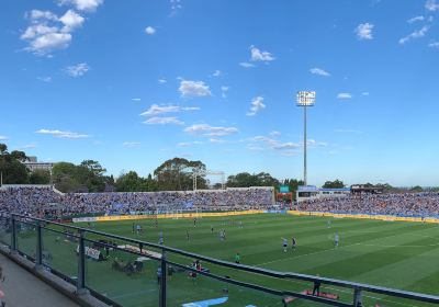 Netstrata Jubilee Stadium