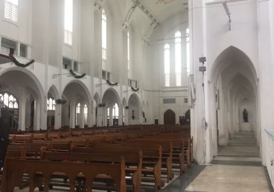 Cathedral of the Immaculate Conception