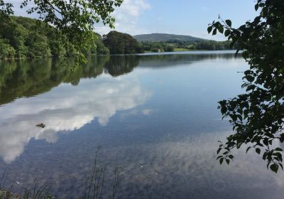 Talkin Tarn Country Park