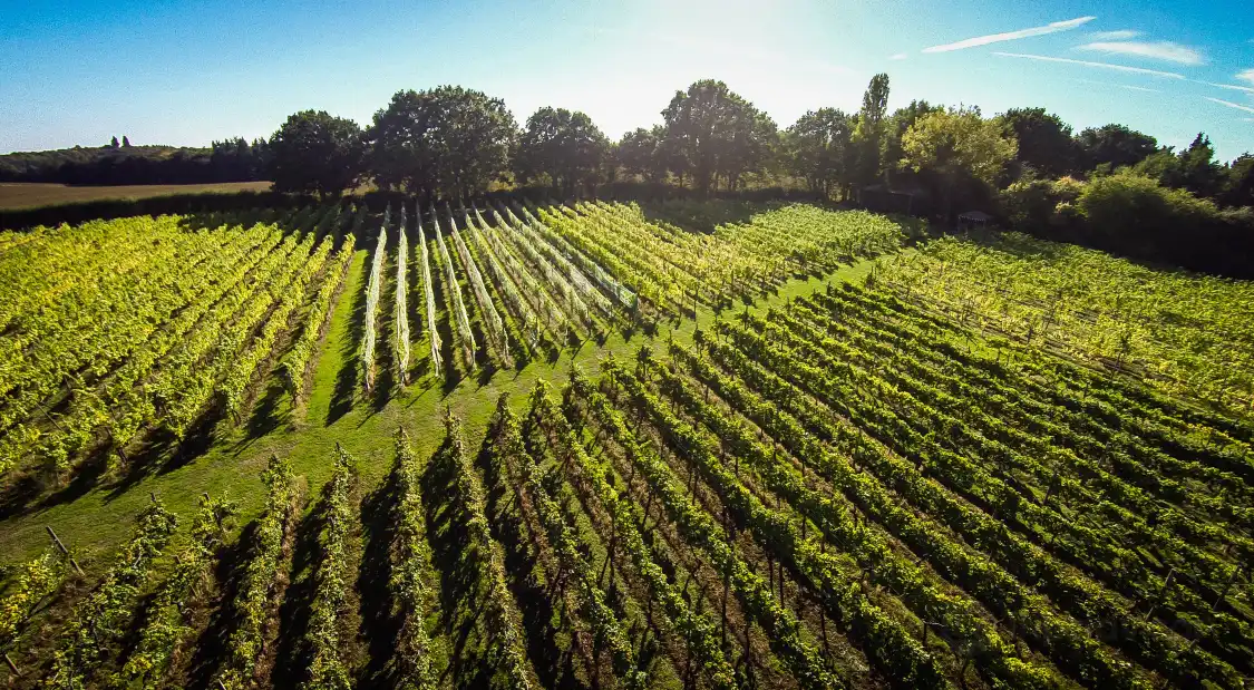 Hotels near Astley Vineyard