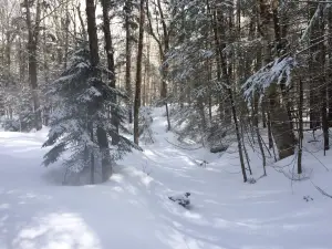 Timber Creek Cross Country Ski