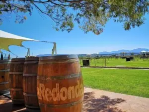 Vinedos La Redonda