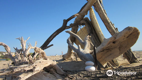 Riserva Naturale Orientata Foce del Fiume Platani