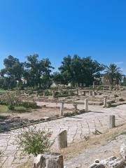 Museo archeologico di El Jem