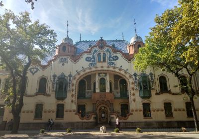 Modern Art Gallery Likovni Susret