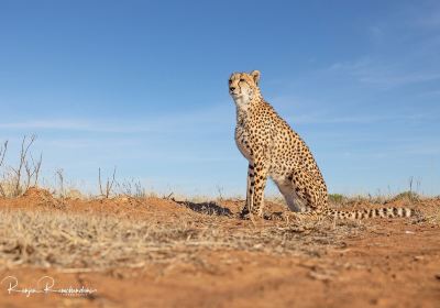 Tiger Canyon Private Game Reserve