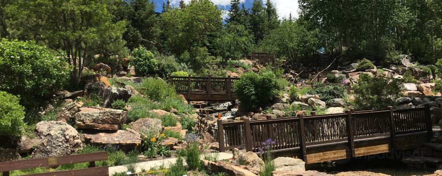 Betty Ford Alpine Gardens