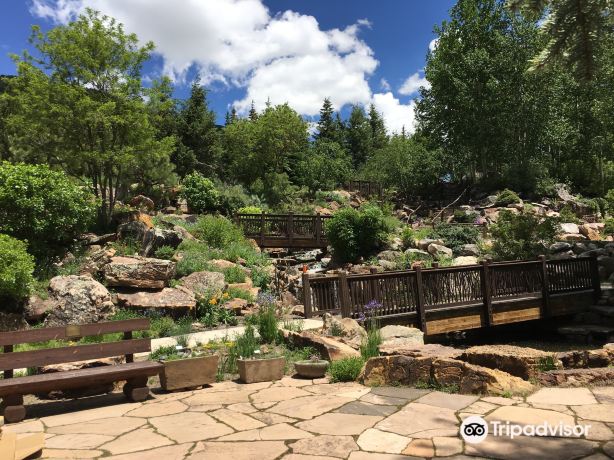 Betty Ford Alpine Gardens