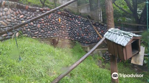 Zoologico de San Martin