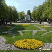 Природа / дикая природа