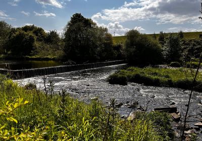 Cromwell Bottom Nature Reserve