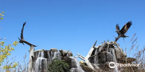 Giant Eagle Waterfall Nest