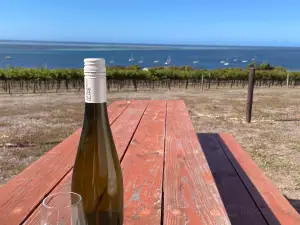 Bay of Shoals Wines