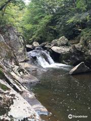 Bottom Creek Gorge