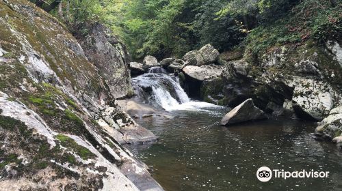 Bottom Creek Gorge