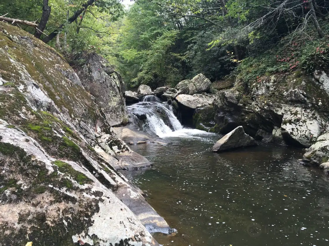 Bottom Creek Gorge附近的飯店