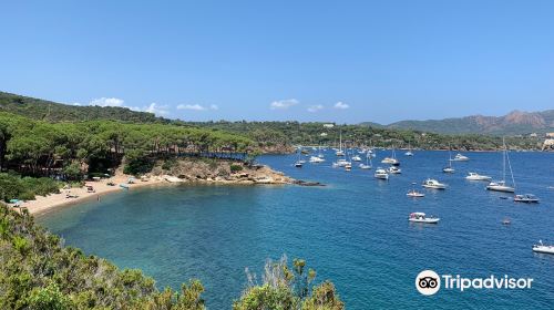 Spiaggia di Istia