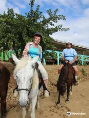 Bayside Riding Club