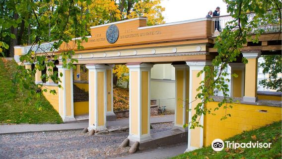 Tartu Angel's Bridge