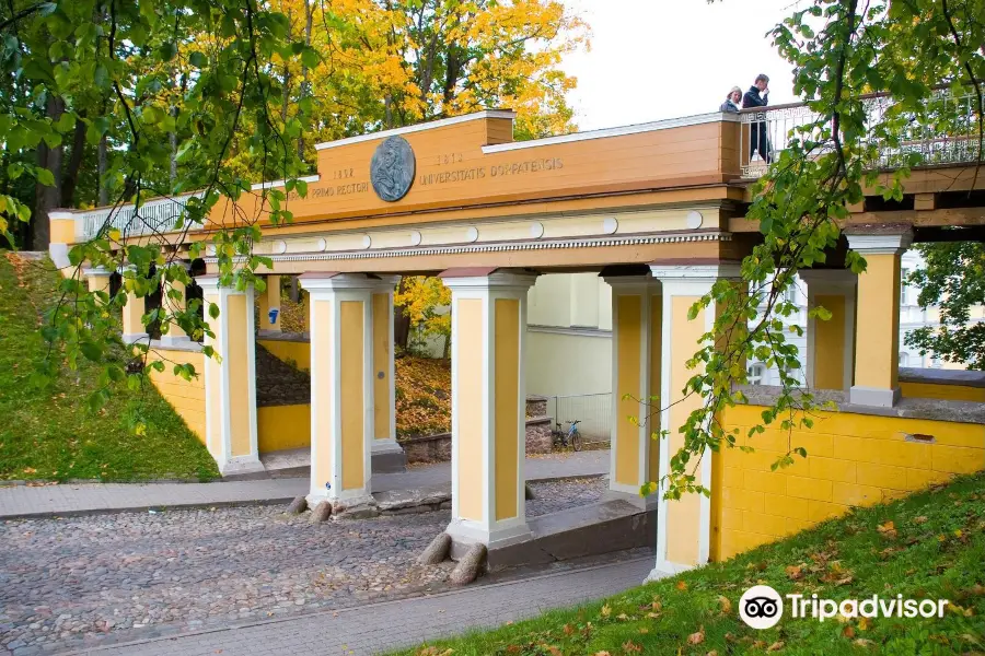 Tartu Angel's Bridge