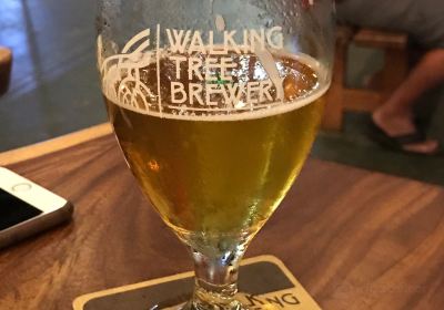 Walking Tree Brewery