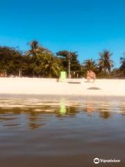 Ilha do governador