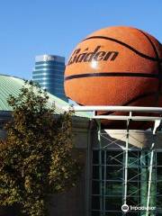 Women's Basketball Hall of Fame