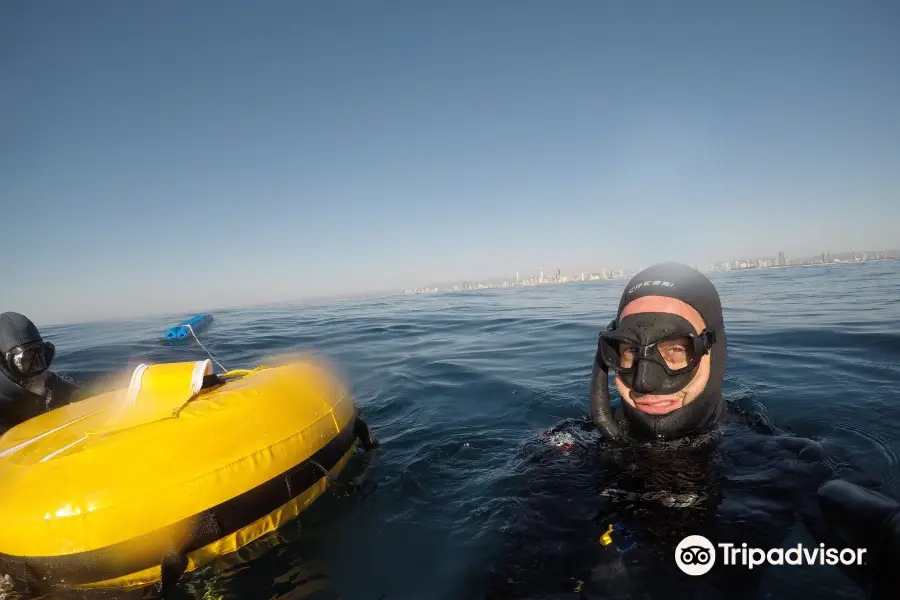 Freediving Gold Coast