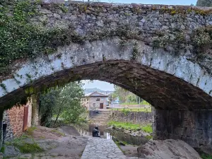 Centro De Interpretacion Del Hombre Pez
