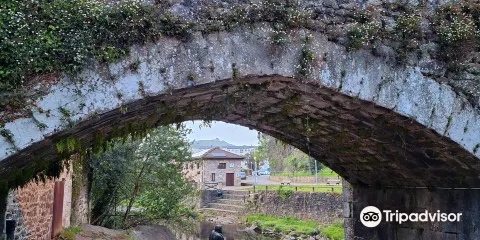 Centro De Interpretacion Del Hombre Pez