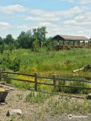 Jackson Bottom Wetlands Preserve