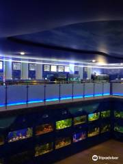 Aquarium Exhibit Hall