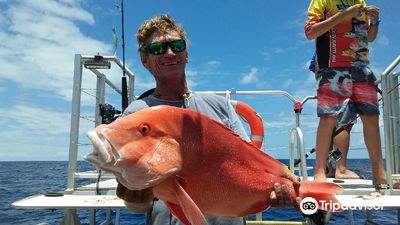 Airlie Beach Fishing Charters/Fishing Whitsundays